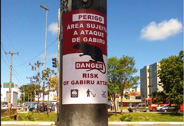 Principal avenida de Recife ganha cartazes que alertam para risco de ataque de ratos