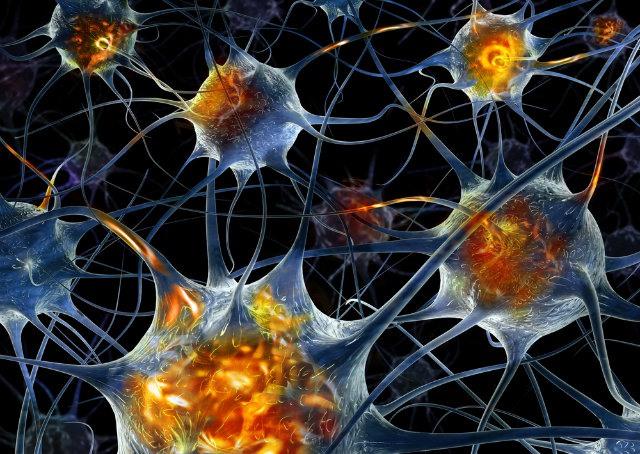 Cientistas descobrem substância capaz de curar o Mal de Alzheimer