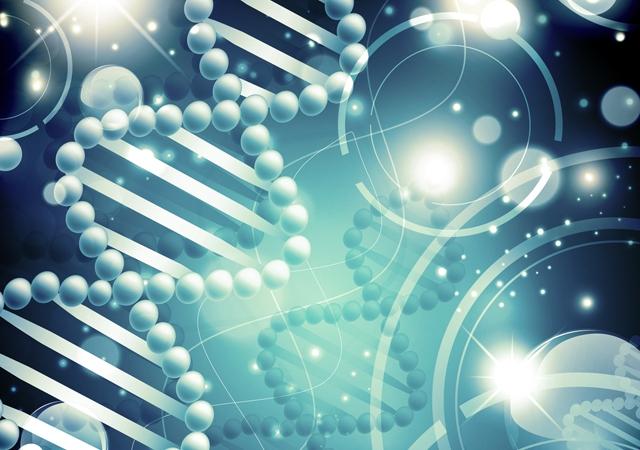 Gene relacionado à capacidade de liderança é descoberto por pesquisadores da Grã-Bretanha
