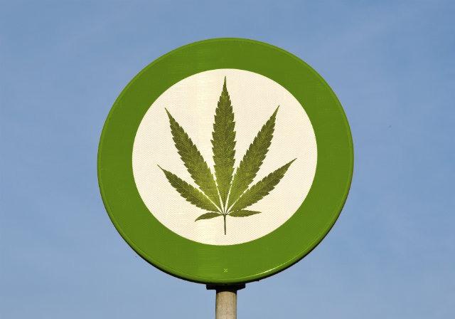 Cientistas brasileiros assinam manifesto pela descriminalização das drogas