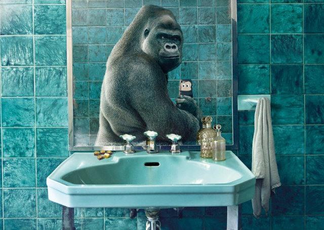 National Geographic faz campanha ridicularizando selfies de má qualidade