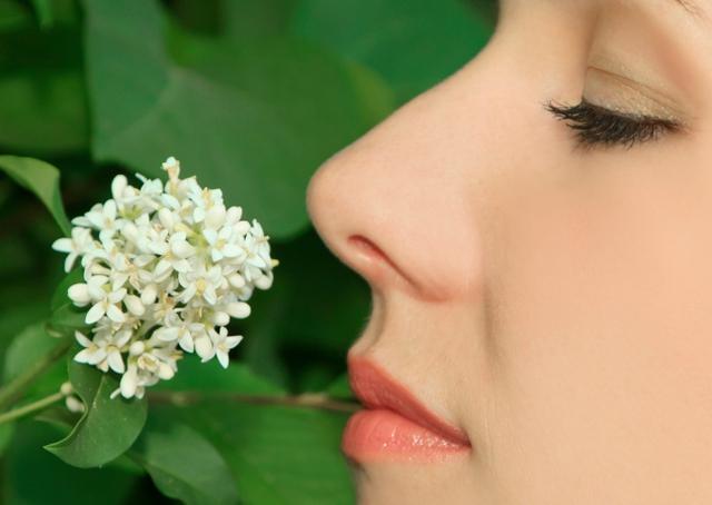 Artigo: O poder do aroma na conquista do consumidor