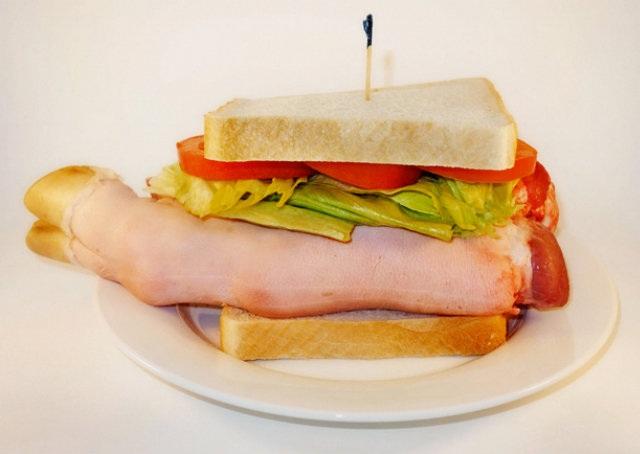 Fotógrafo registra a origem das carnes de fast-food