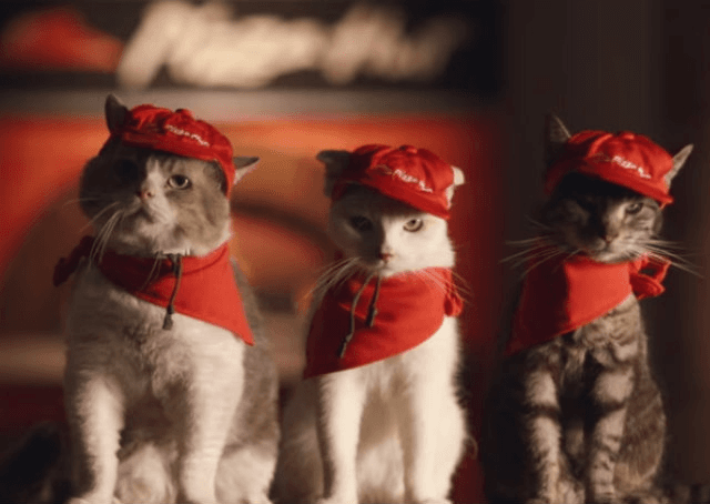 Pizza Hut do Japão aposta em gatos como funcionários em nova campanha
