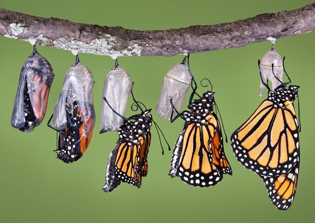 3 qualidades de pessoas capazes de mudanças transformadoras