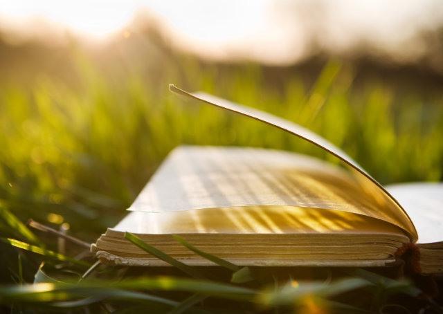 Conheça clube do livro por assinatura