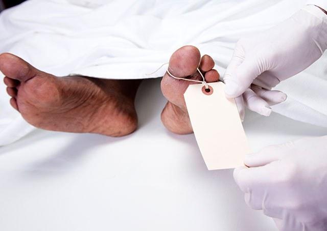 Médicos querem testar método de "ressuscitação" em seres humanos
