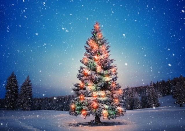 7 técnicas para incendiar as vendas de Natal