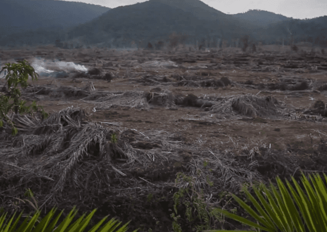 Comercial fake detona a marca Doritos