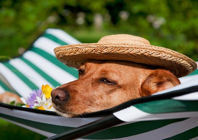 A vida começa no fim da sua zona de conforto