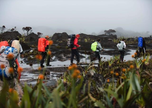 7 estratégias que o montanhismo ensina na gestão de empresas