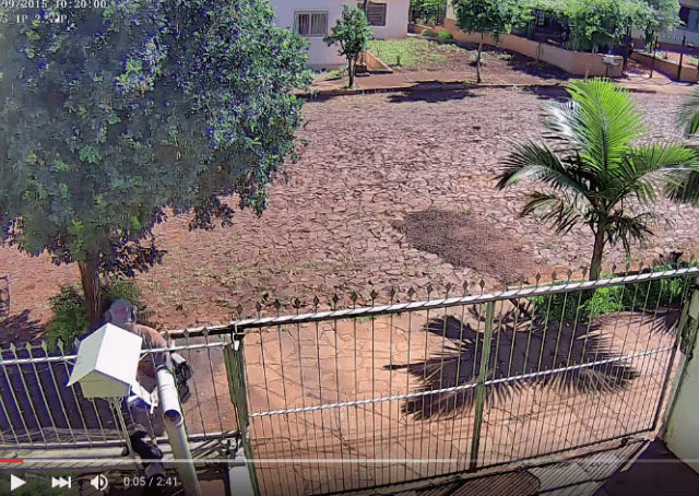 Funcionário é demitido no RS após ser flagrado agredindo cachorro
