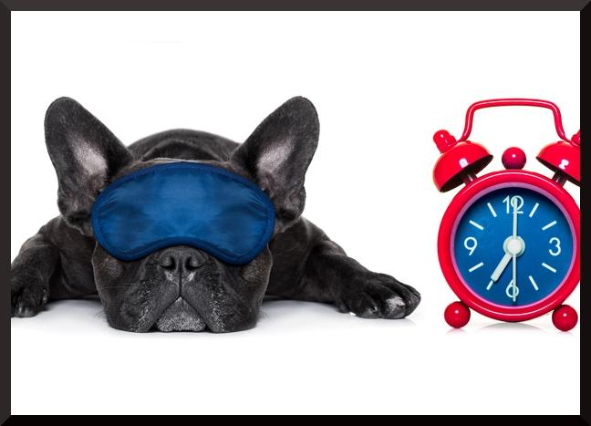 Uma atitude simples para aumentar sua disposição matinal