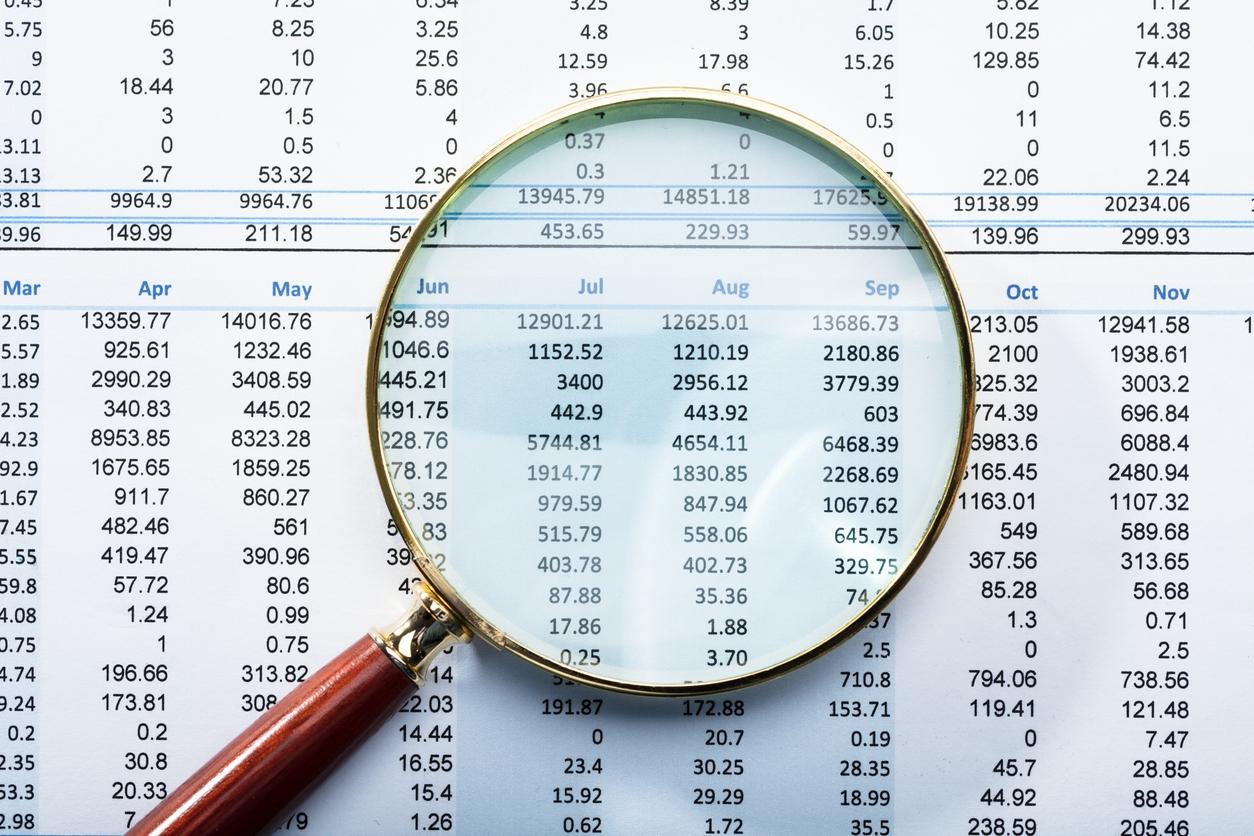 Como seu negócio pode se proteger de autuações fiscais e fraudes?