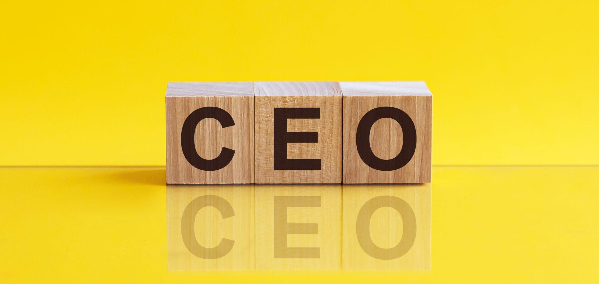 Quanto ganham os CEOs mais bem pagos do Brasil?
