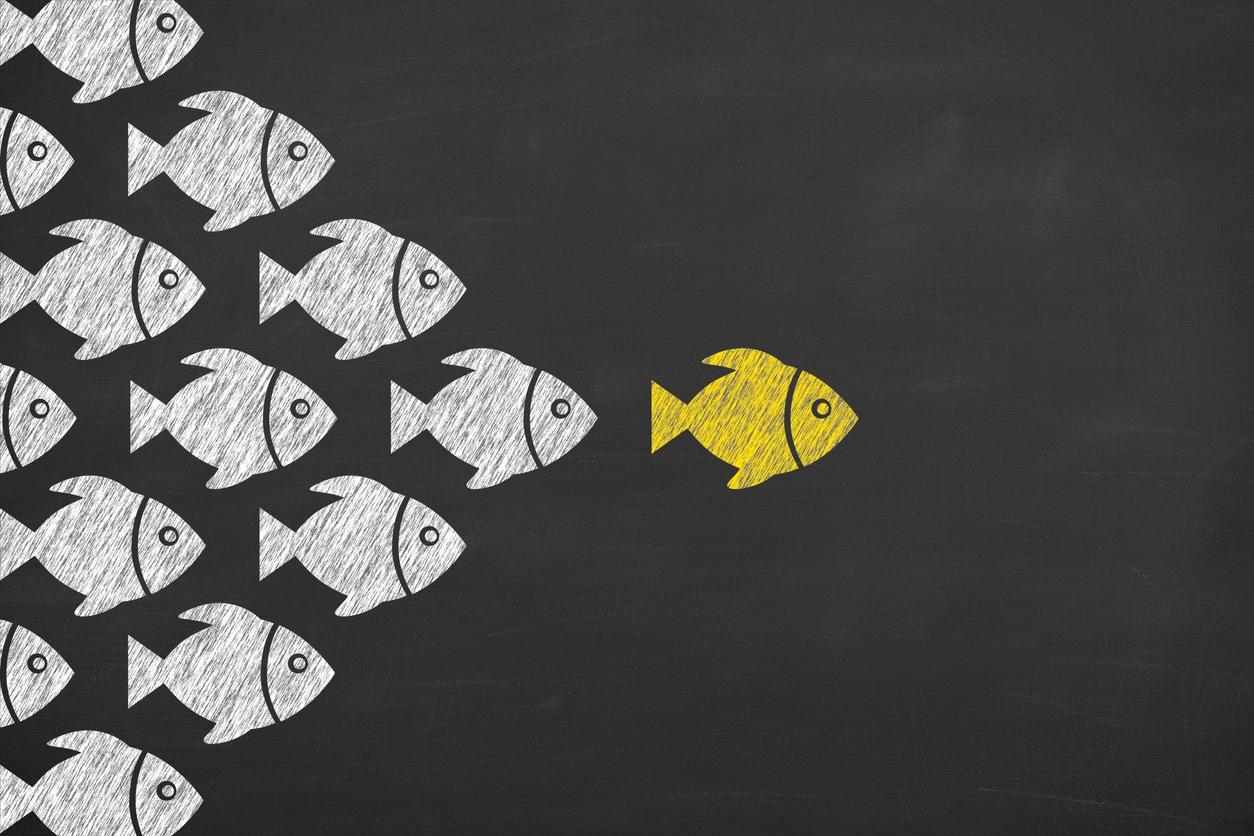 Conheça as 5 leis da persuasão para convencer qualquer pessoa