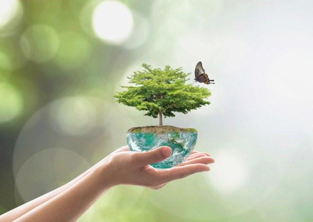 Sustentabilidade e Geração de Valor