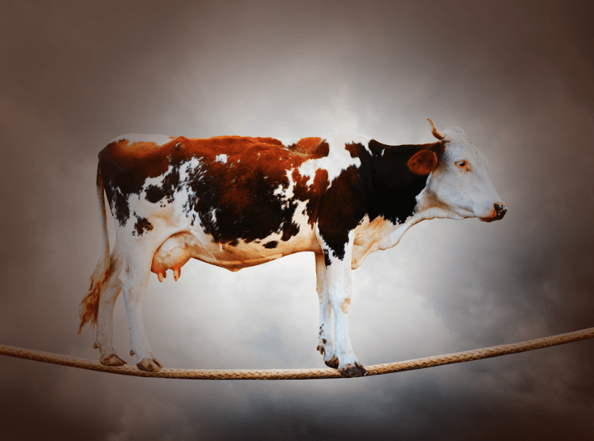 Está difícil fechar as contas no início do ano? Entenda o motivo e melhore suas finanças