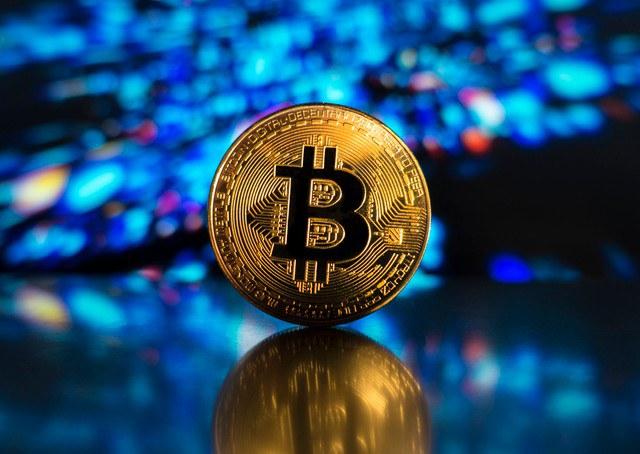 Por que não podemos comparar Bitcoin às Tulipas