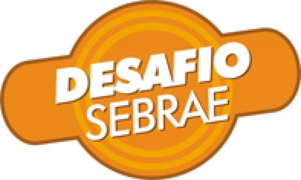 O DESAFIO SEBRAE 2009