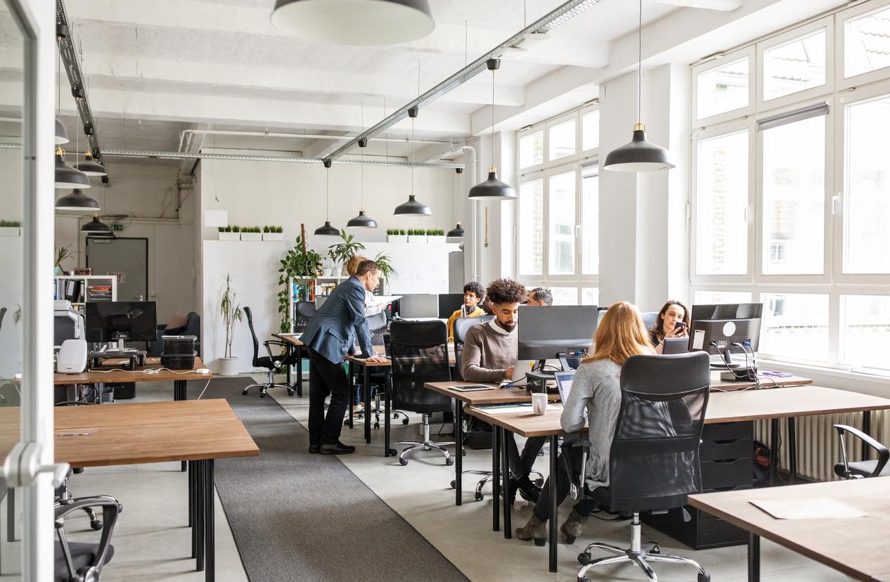 Como entender a cultura organizacional da sua empresa