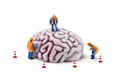 Neuromarketing: a ciência que estuda a mente do consumidor