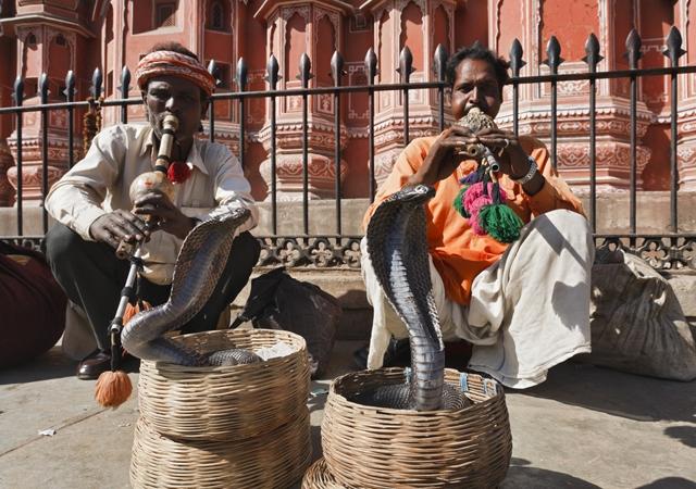 A arte do encantamento