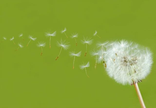 Como aprendi a parar de procrastinar e amar o desapego