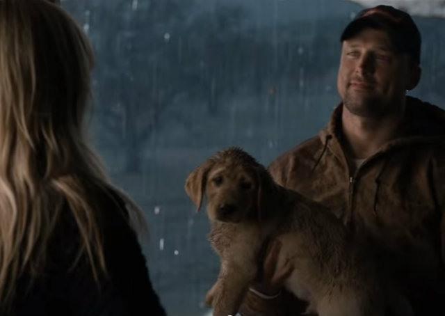 A cerveja, o cachorro e o storytelling