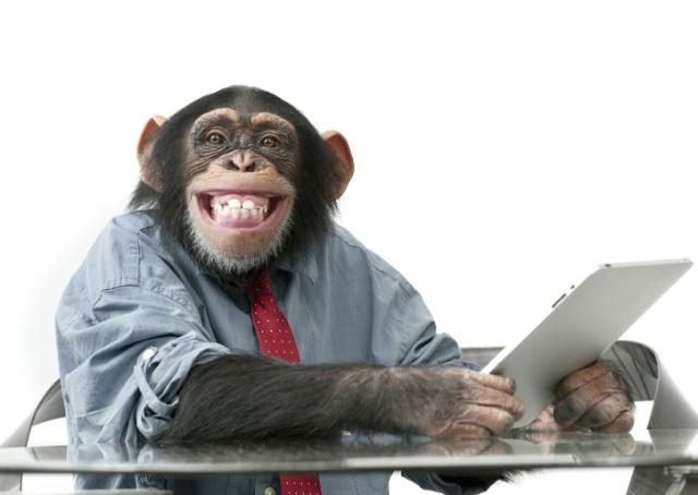 O que os chimpanzés podem nos ensinar sobre sucesso e fracasso?