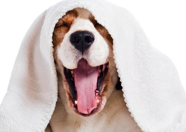 Coragem: saia da inércia e mude sua vida