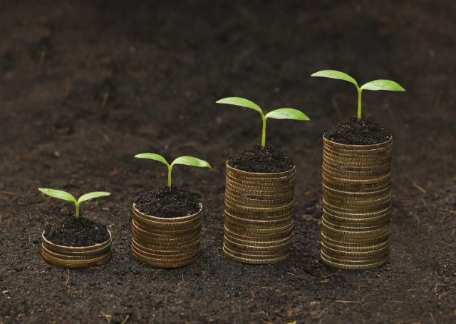 Você sabe o que é sustentabilidade financeira?
