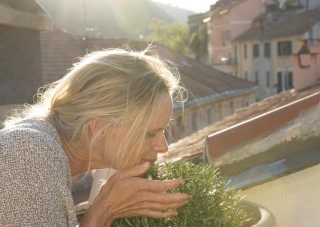 11 passos para viver a vida plenamente