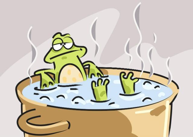 O círculo vicioso da inércia e a síndrome do sapo na panela