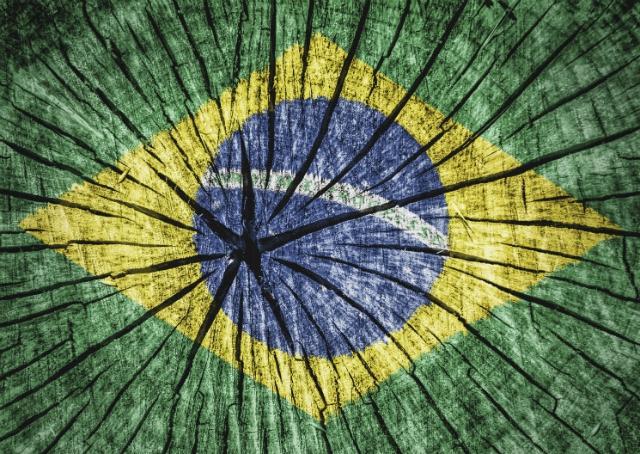 A crise de representatividade e seus impactos na economia