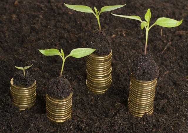 Redução sustentável de custos na crise