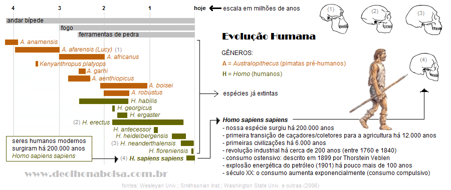 Uma breve história do consumo