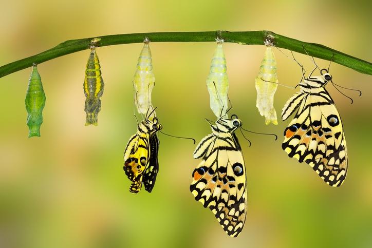 Como você nota que está evoluindo?