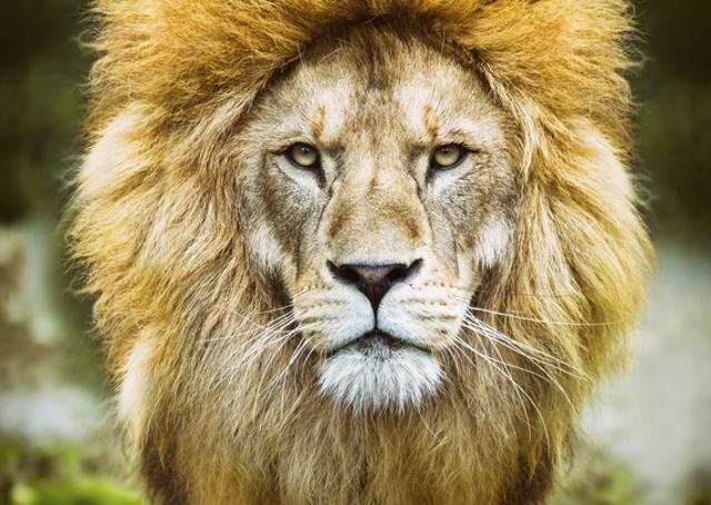 IRPF 2018: 5 mudanças que você precisa saber