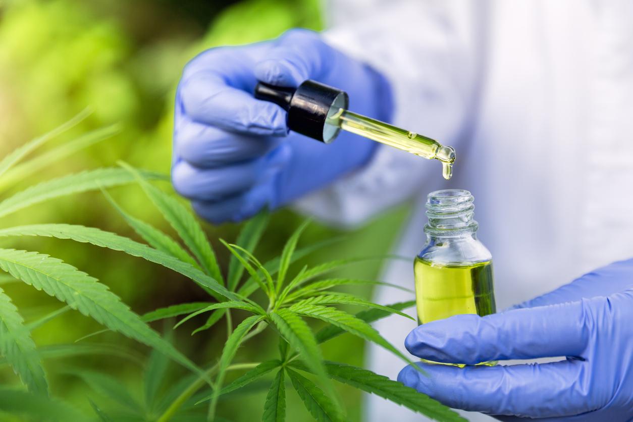 5 pontos positivos e 5 negativos do mercado de cannabis medicinal no Brasil