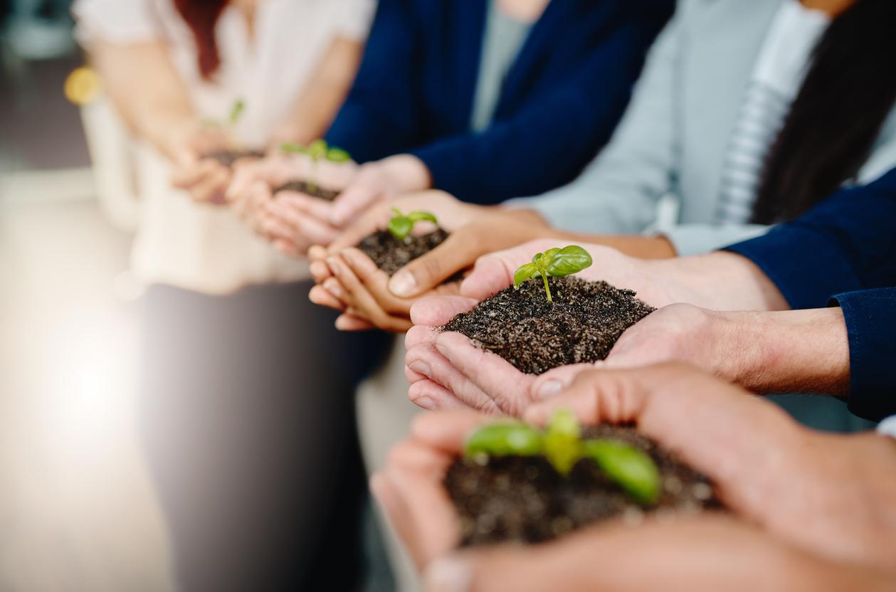 Como construir uma jornada ESG eficaz que apoie os negócios