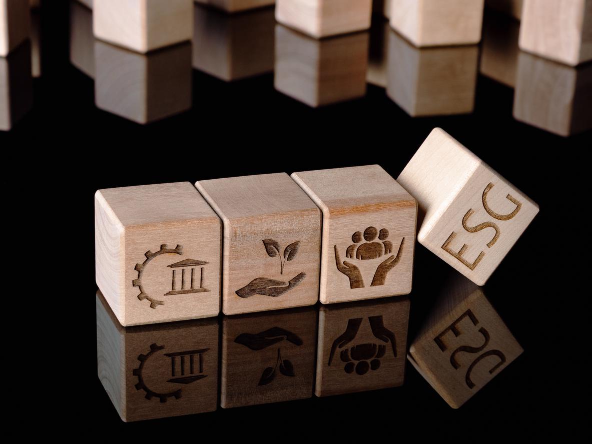 Sustentabilidade também deve fazer parte da cultura das startups e fintechs