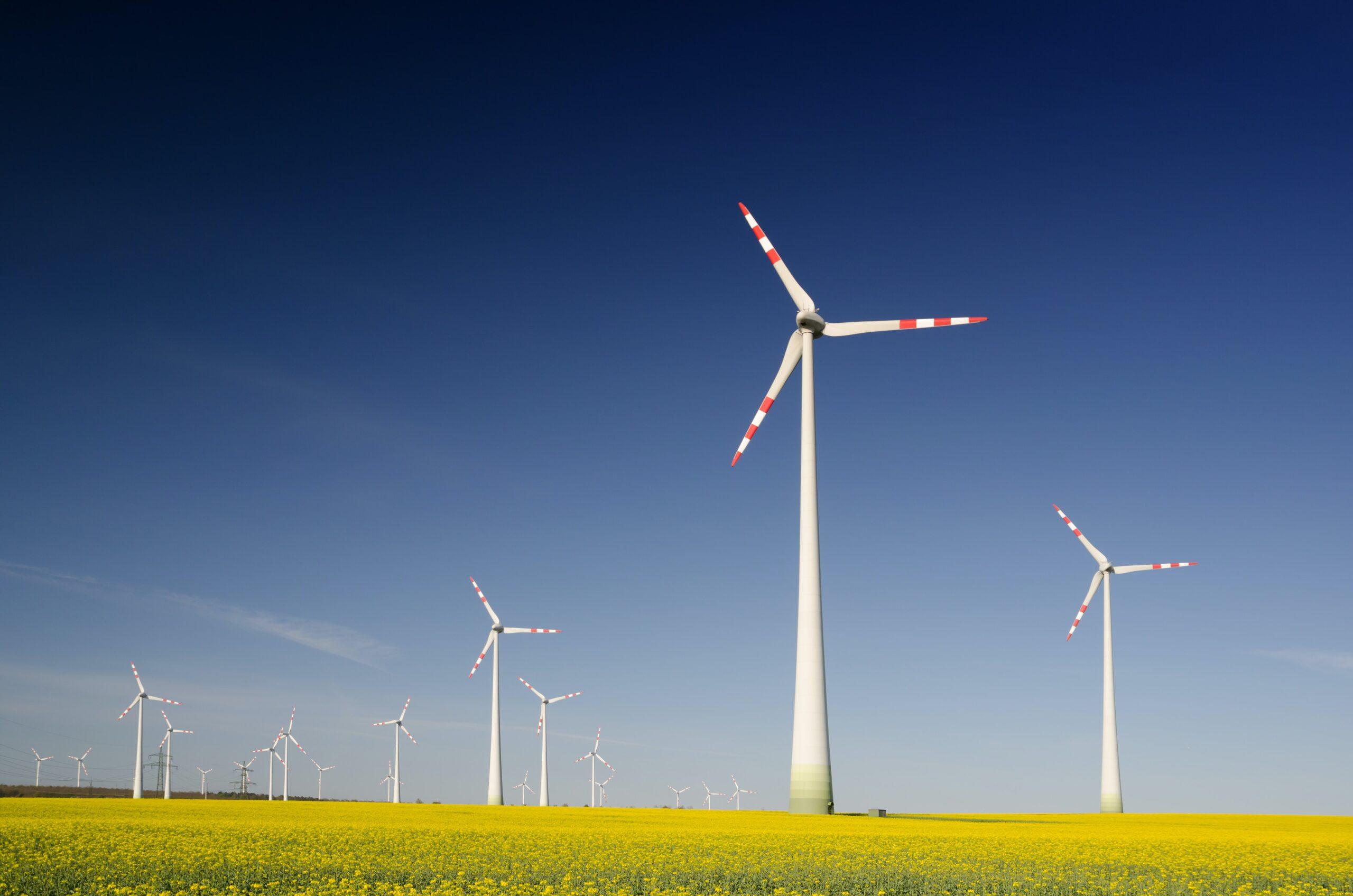 ESG na Prática: Conhecimentos Fundamentais para os Administradores