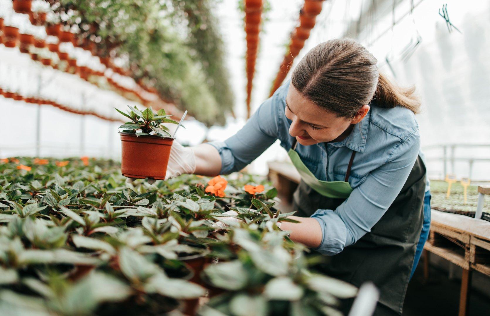 89% das PMEs já adotam práticas ESG no dia a dia, diz pesquisa