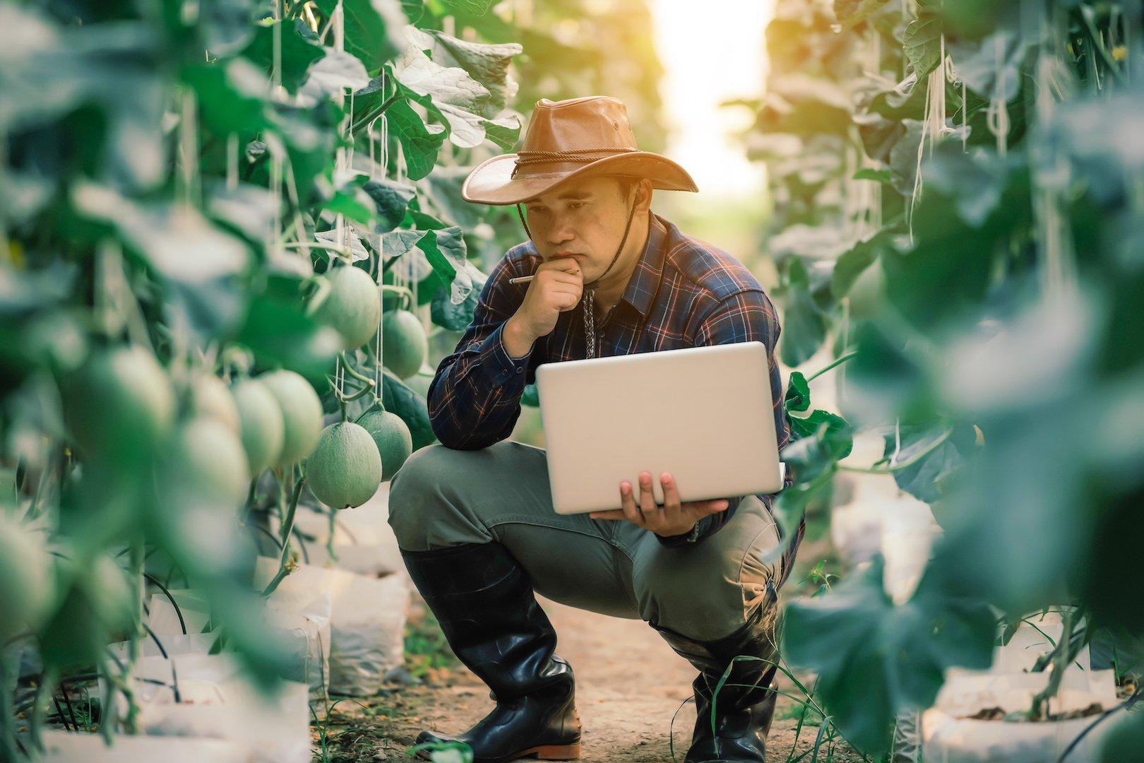 Conectividade no campo e o futuro da Indústria de Máquinas Agrícolas no Brasil