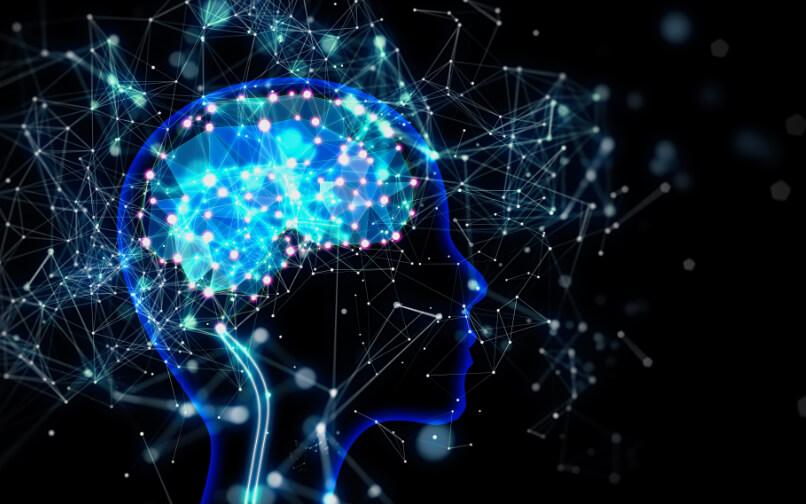 Como criar um “segundo cérebro”?