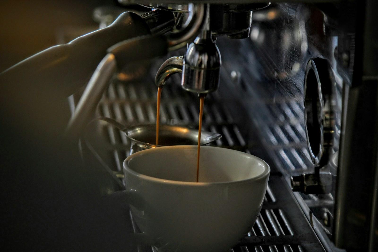 Harvard confirma: café diário pode ser o segredo para um envelhecimento saudável