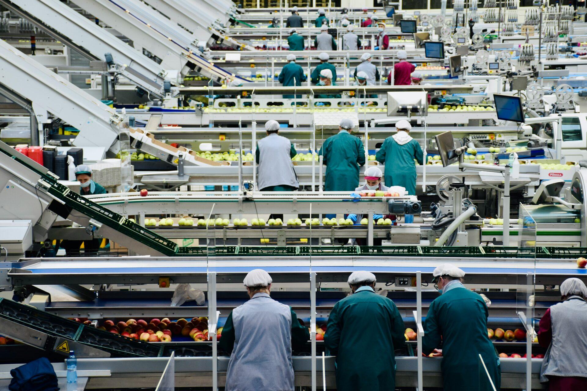 A tecnologia a favor da sustentabilidade na indústria de alimentos