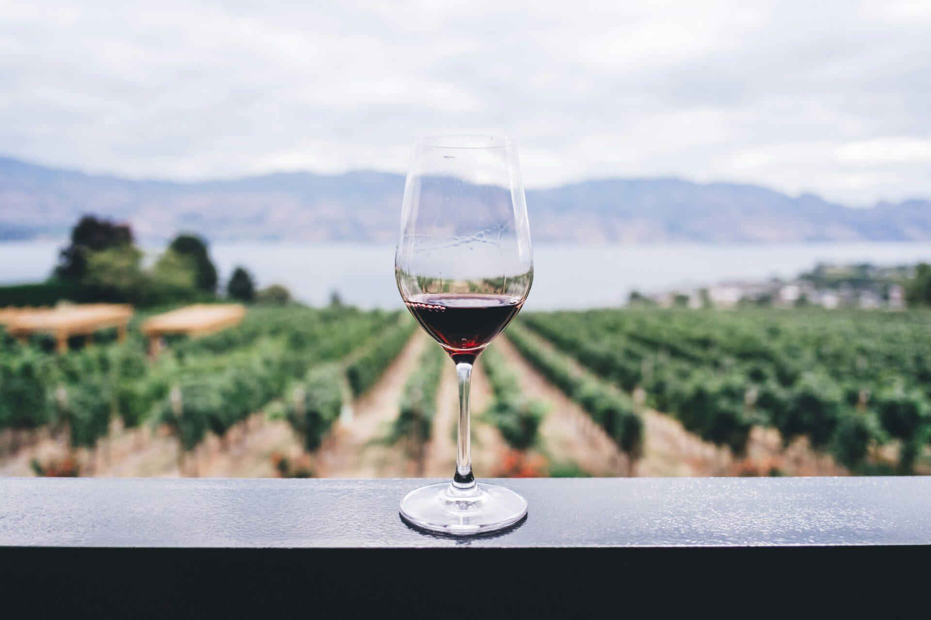 Do códice do consumo ao Compete-ES: a jornada histórica e comercial do vinho