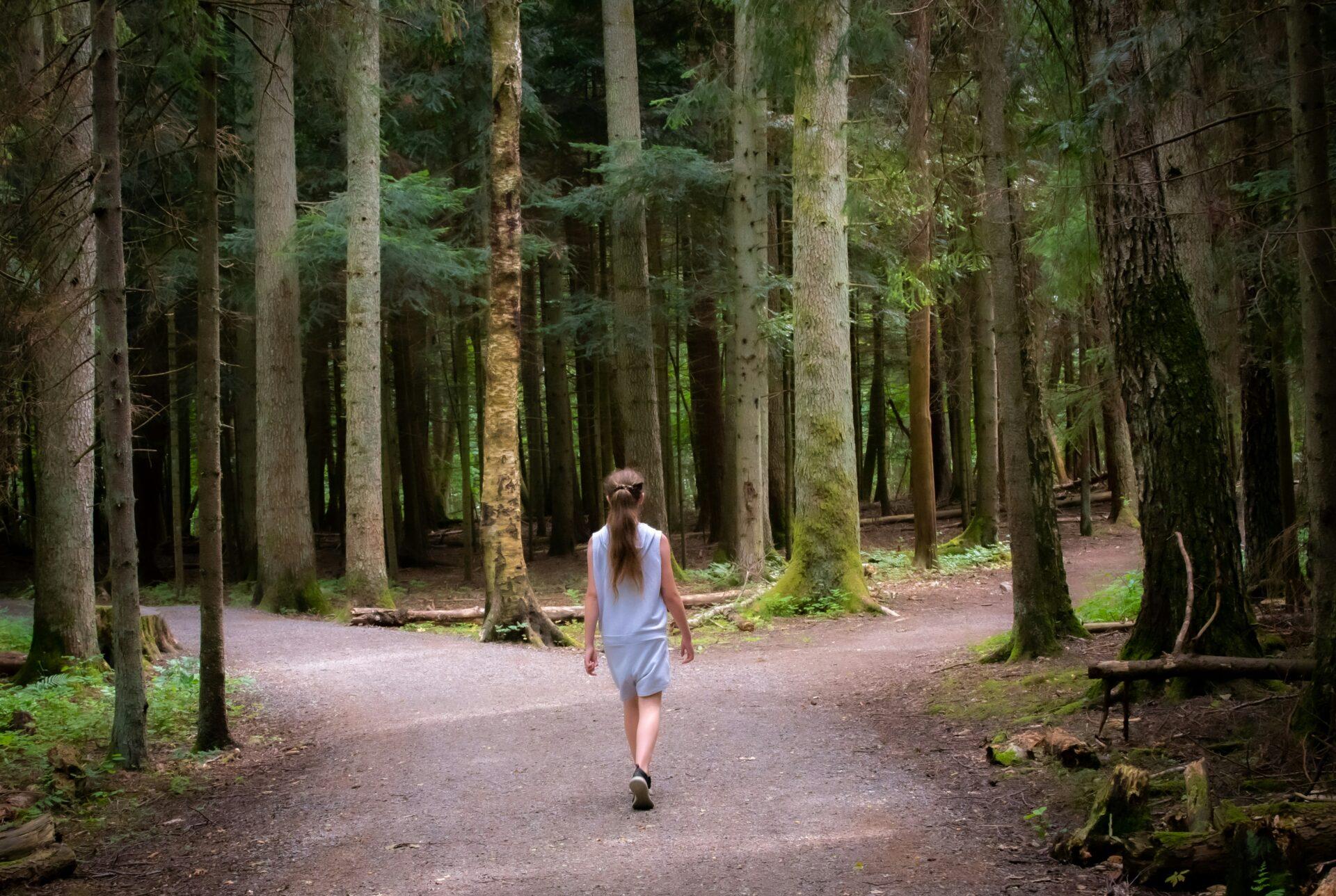 Quando persistir deixa de ser virtude?